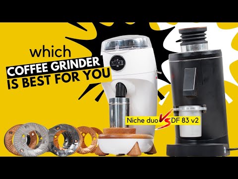 ONE TO RULE THEM ALL?: Niche Duo vs DF83 V2 Review!