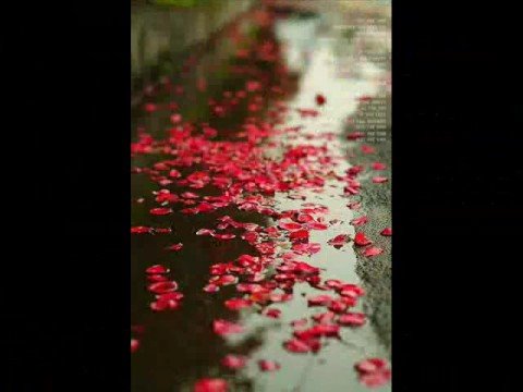 Fedo Mora & Camurri- After the rain