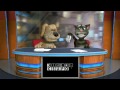 YTP Volkswagen Csupo V3 Round 1 Vs Myself 1 700000000000000000000000000000000000000000000000000000