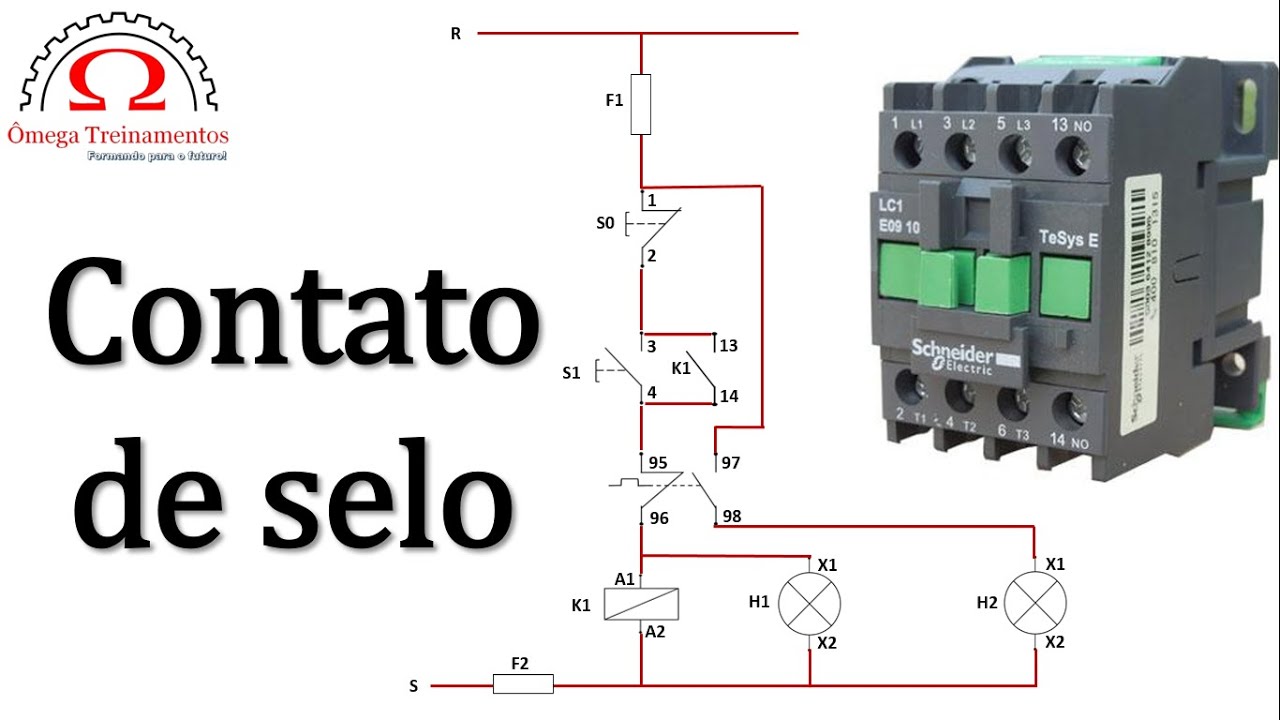 CONTATO DE SELO, aprenda a identificar!