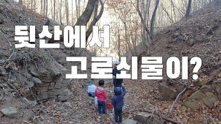고로쇠물 나올까? 뒷산에서 고로쇠를...