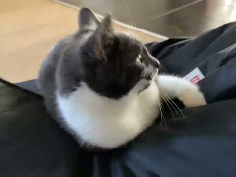 Ha ha jeg løb let for hordi😮