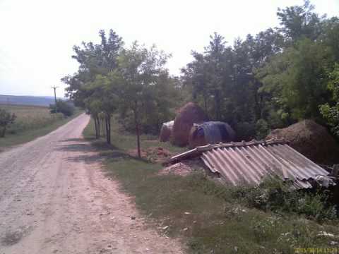 Galerie foto AVRAMESTI (Vaslui) august 2015