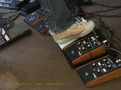 Moog MP201 Multi Pedal Expression CV LFO Controller Dual Quad MIDI EXP image 3