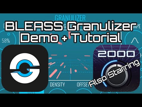 BLEASS Granulizer Demo + Tutorial Starring Digitalism 2000
