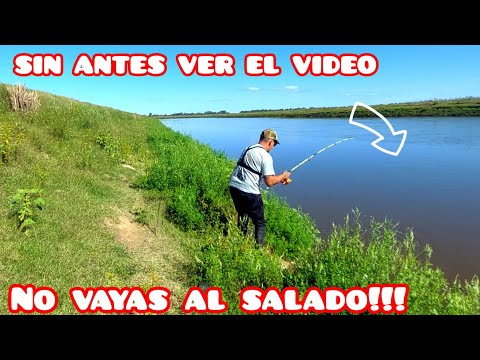 🔥🔥 PESCA de BAGRES , MOJARRAS,  y CARPA una locura lo que esta dando EL SALADO 🔥🔥 pesca y cocina 🔥🔥