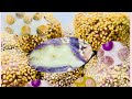 SESAME BALLS GLUTINOUS RICE BALLS With Peanuts PURPLE BUTCHI BUTCHI First Imbento2