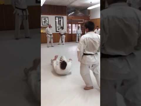 Karate Funakoshi Sensei Throw - Tsubamegaeshi as a flow from jammed Taniotoshi