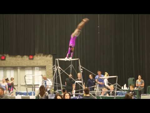 Level 9 Uneven Bar Regional Championship 2017