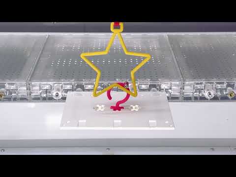 動画のサムネイル