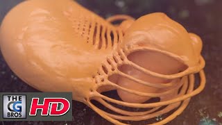 CGI VFX Spot HD: "Nature Morph" - by Studio Aiko