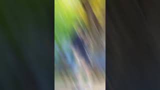 Download lagu Sondia First Love Extraordinary You OST #shorts mp3