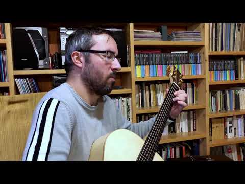 Vlasta Redl: V hornom dolnom konci (acoustic guitar cover)