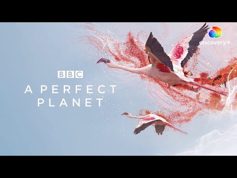 Discover the Perfect Balance of Planet Earth | A Perfect Planet by David Attenborough - Discovery+