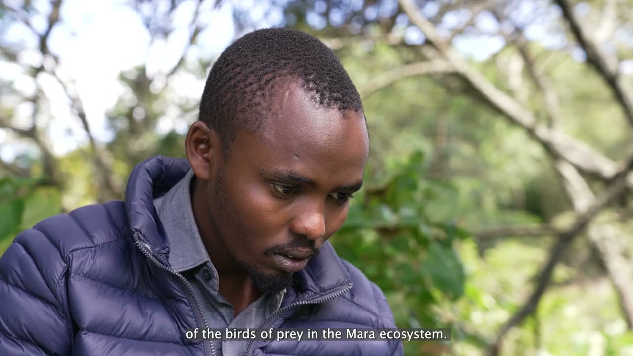 Saving the Vulture: One Man's Quest