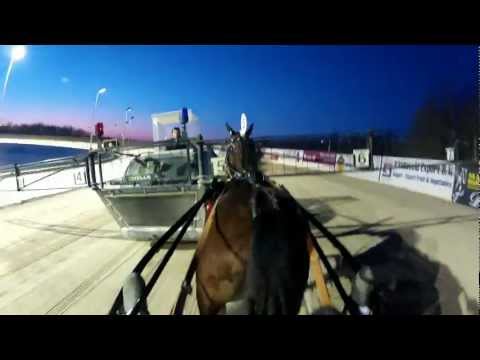 In The Sulky With... Cornelis Loman & Belle Amie