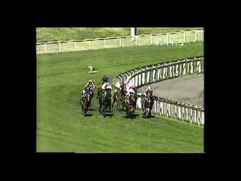 1990 Caulfield Stakes - Sydeston