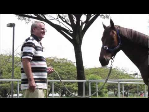 The story behind Laurie Laxon and his Singapore galloper ' Waikato'