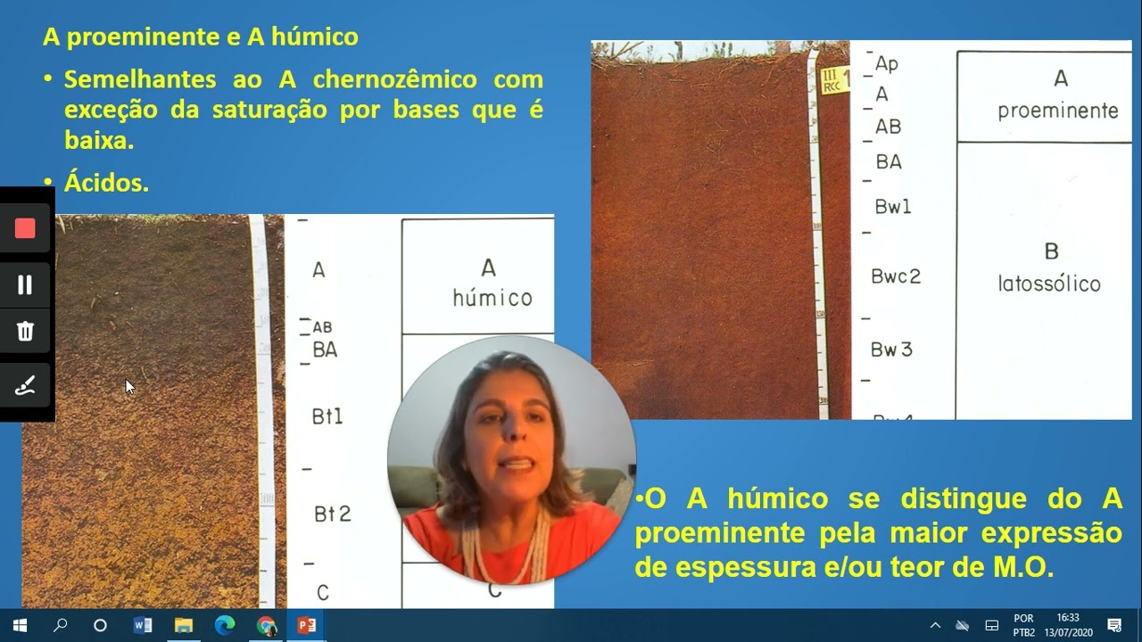 Horizontes diagnósticos superficiais