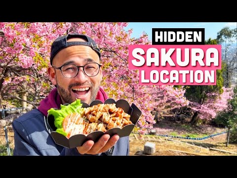 ストリート・フード＆見事な桜2025｜完璧な東京日帰り旅行 (Street Food & Stunning Sakura 2025 | Perfect Tokyo Day Trip)