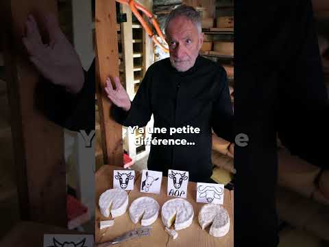 Je teste le palais de mon père