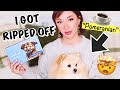 Funny DNA Test Results Of My Dog Sold As Teacup Pomeranian Wisdom Panel Review