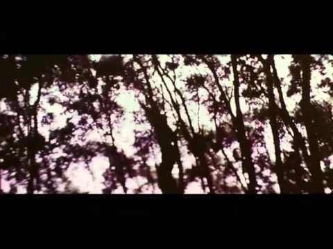 Trailer-Vorschau: Bruce Lee gegen die Supermänner