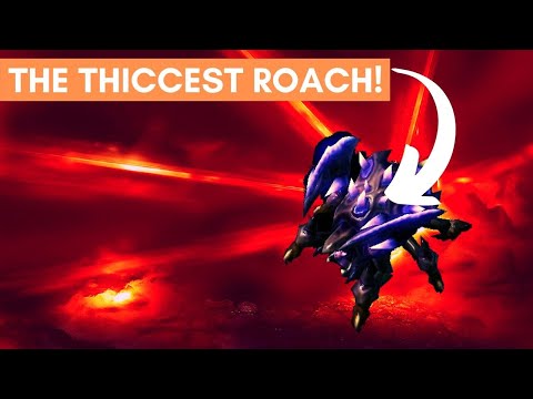 Abathur Weekly Brawl [SC2 Direct Strike]