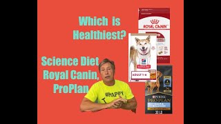 Science Diet, ProPlan, Royal Canin! Which is healthiest for 