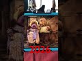 2029