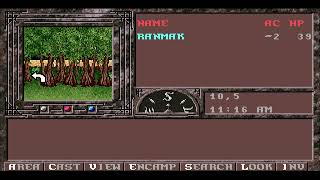 Обзор игры The Dark Queen of Krynn