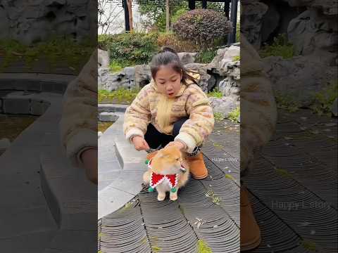 Pihu Found a New Fish Every Morning… But Where Were They Coming From