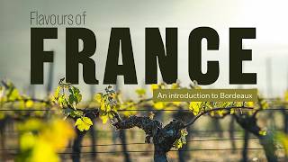 Download lagu Bordeaux Explained | The Flavours of France mp3 Download lagu Bordeaux Explained | The Flavours of France mp3