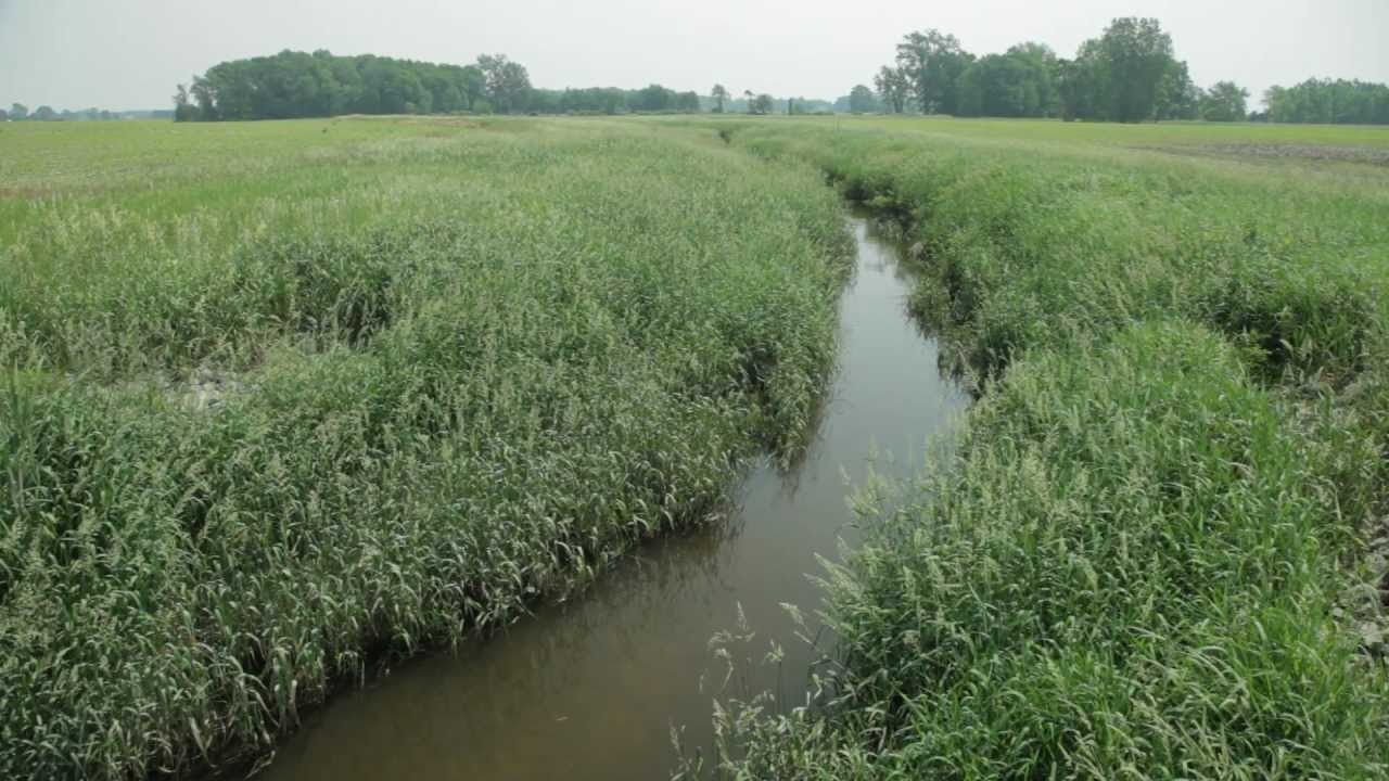 Land Use and Water Quality