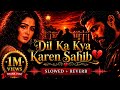 Dil Ka Kya Kare Sahib Dhurandhar The Revenge Ranveer Singh Silent Vibes