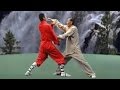 Kung Fu: 36 fight techniques