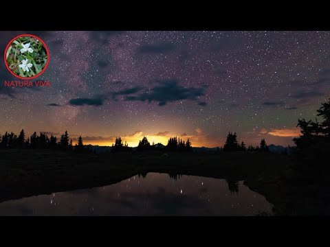 bellissimo cielo stellato e musica  terapeutica  e rilassante per addormentarsi  al instante.