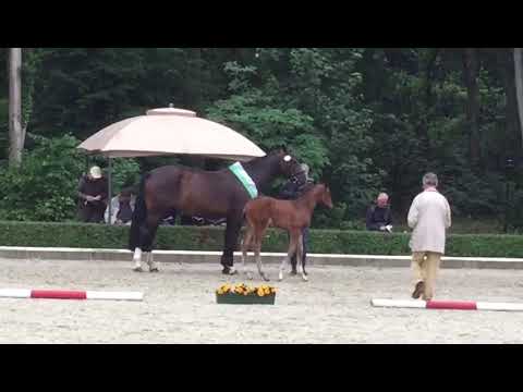 Quentchen Glück von Quantensprung/De Niro/ Sandro Hit/ Rubinstein