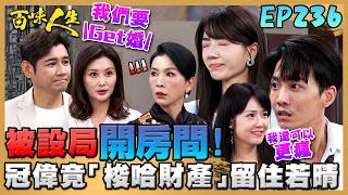 百味人生 EP236 完整版｜冠偉被世茵設局開房間！為留住若晴竟願意「梭哈財產」！「民雪」要Get婚！秦佩芬嚇爛第一個跳出來反對！｜Bittersweet Destiny｜【莊廣和堂轉大人萃滴精】