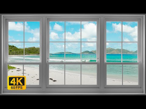 4K Tropical Beach window view in the Caribbean - Palm Trees, Ocean Sounds, White Noise