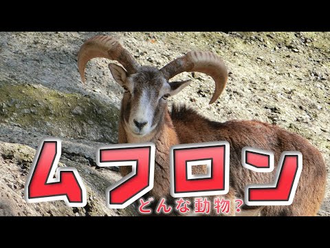 リダイレクトアイコン