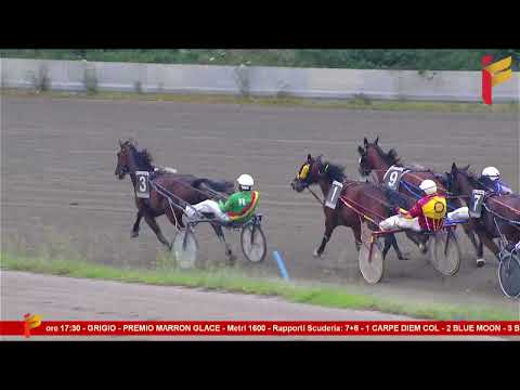 V Corsa del 31 maggio 2023 - 5 e 6 Anni - metri 1600 - Gentlemen