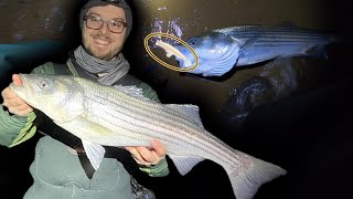 On The Hunt For BIG Nighttime Striped Bass | Spring Run Season Update