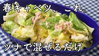 春キャベツはこれ。ツナで混ぜるだけの簡単サラダレシピ