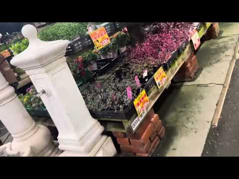 Android 対 iOS: 興味深い事例は、泥棒には明らかなお気に入りがあることを示しています