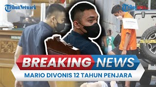 BREAKING NEWS: Mario Dandy Divonis 12 Tahun Penjara Sesuai Tuntutan JPU, Tak Ada yang Meringankan