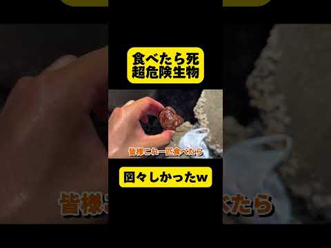 絶対に与えてはいけない、コガラにとって有毒な食べ物は何ですか？  庭園