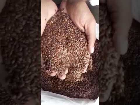 Dried Roasted Flax Seeds