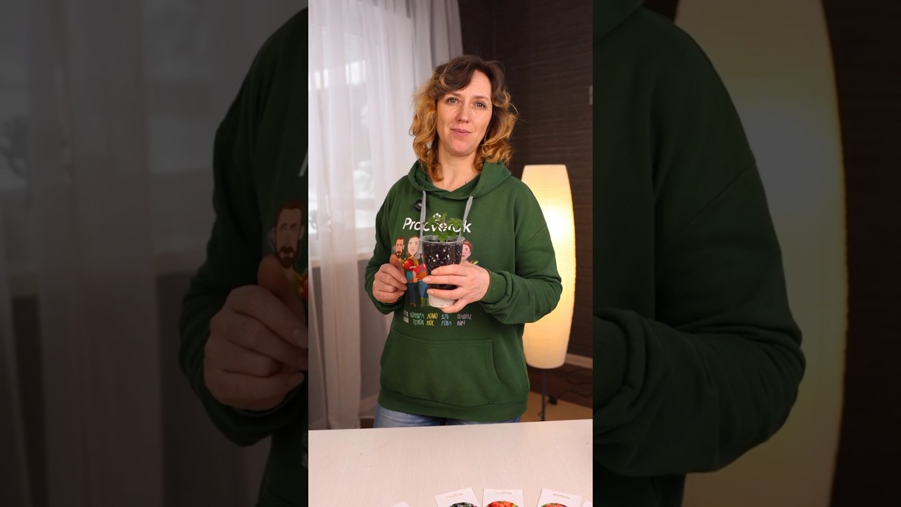 Теперь томаты сею только так! Крепкая рассада без пикировки и подкормок