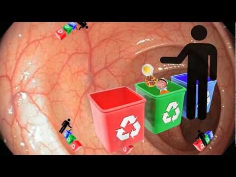 Natural phytosterol powder, drum